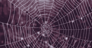 Untitled design (16) (1)